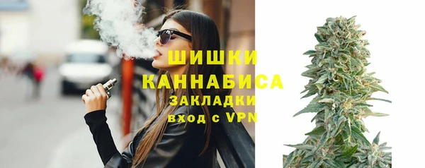 мет Бородино