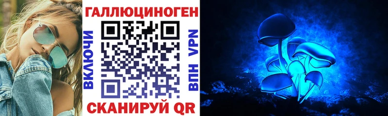 Галлюциногенные грибы Psilocybine cubensis  Высоцк 